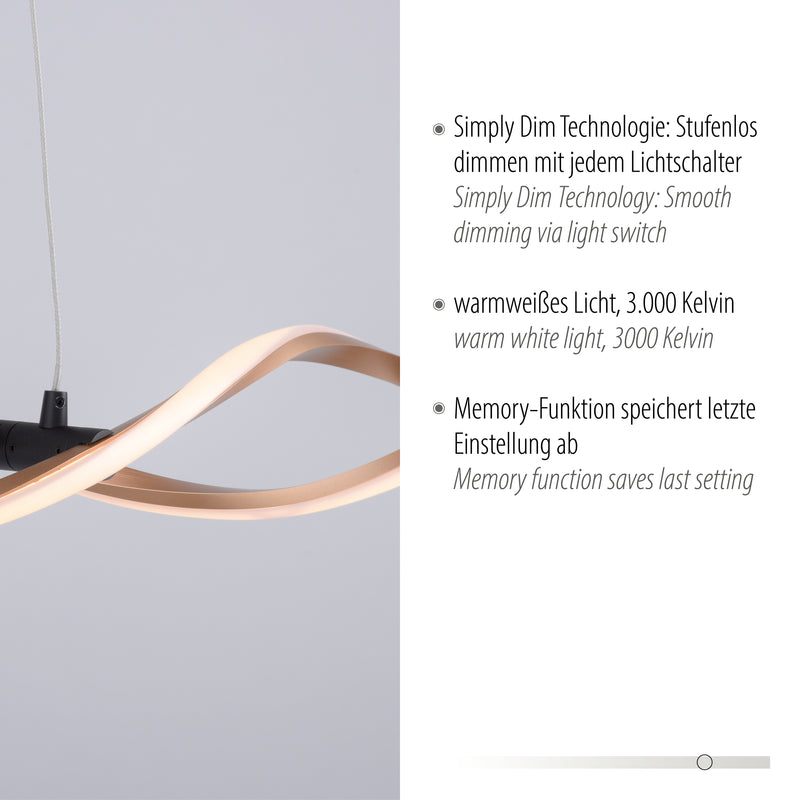 Lustra Paul Neuhaus POLINA 2xLED Negru