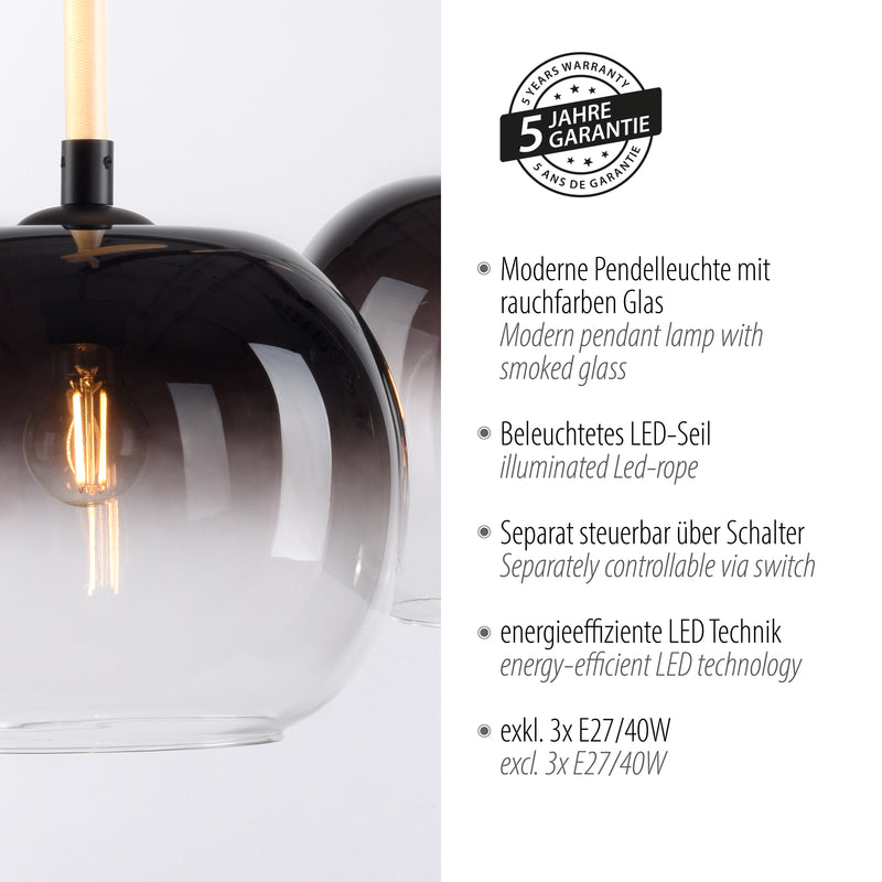 Lustra Paul Neuhaus LUMA 3xE27/LED Negru