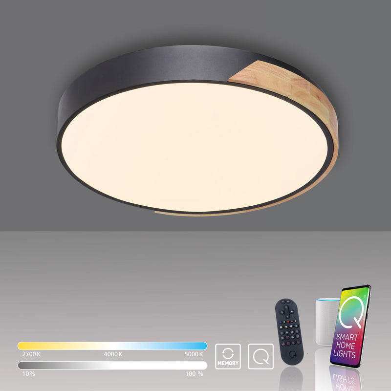 Plafoniera Paul Neuhaus Q-BILA LED Negru