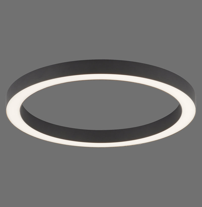 Plafoniera Paul Neuhaus PURE-LINES LED Antracit