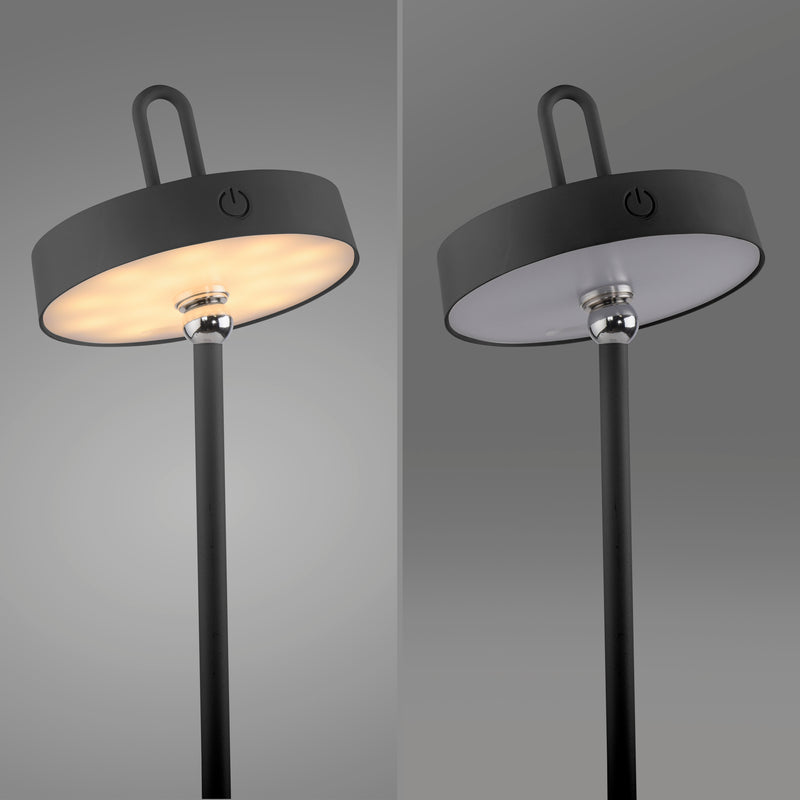 Lampa Exterior Paul Neuhaus AMAG LED Negru