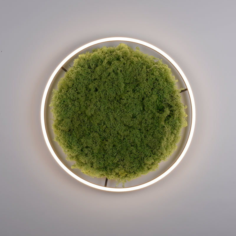 Plafoniera Zuma Line GREEN RITUS LED Muschi Natural