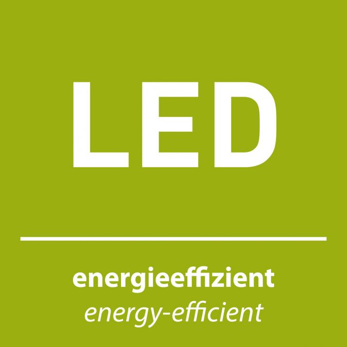 Plafoniera Zuma Line BILA LED Negru