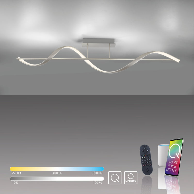 Plafoniera Paul Neuhaus Q-SWING LED Argintiu