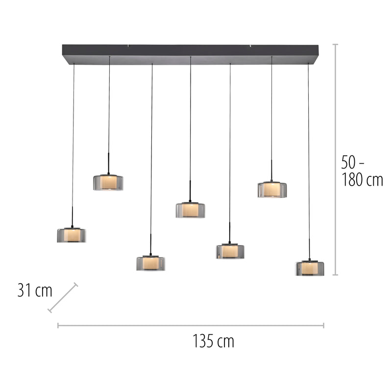 Lustra Paul Neuhaus RIKA 7xLED Negru