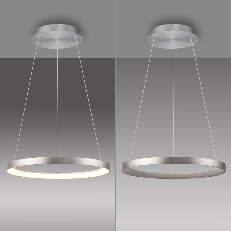 Lustra Paul Neuhaus HOOP LED Aluminiu