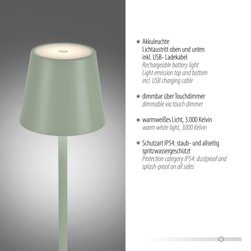 Lampa Exterior Paul Neuhaus EURIA LED Verde