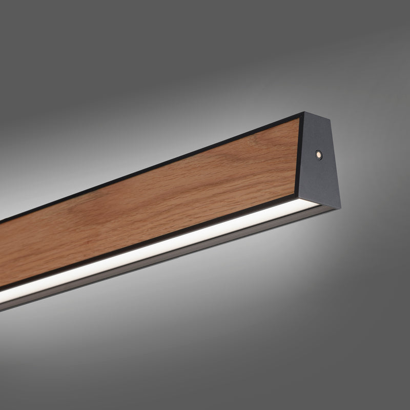 Lustra Paul Neuhaus PURE E-MOTION 2xLED Negru