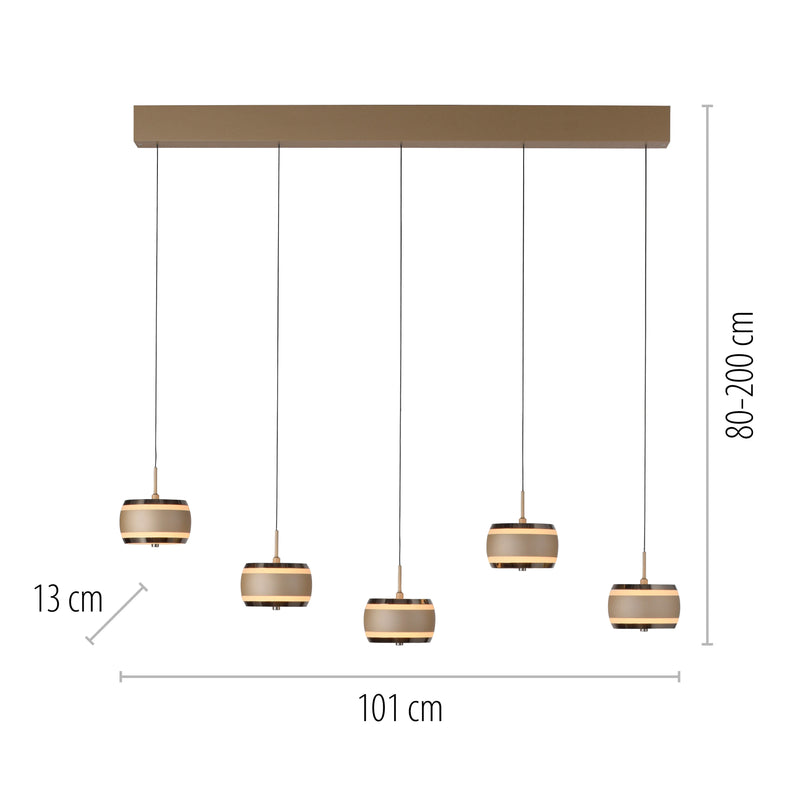 Lustra Paul Neuhaus PURE FALLING RINGS 5xLED Maro