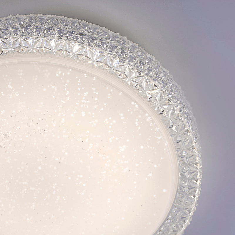 Plafoniera Paul Neuhaus FRIDA LED Transparent