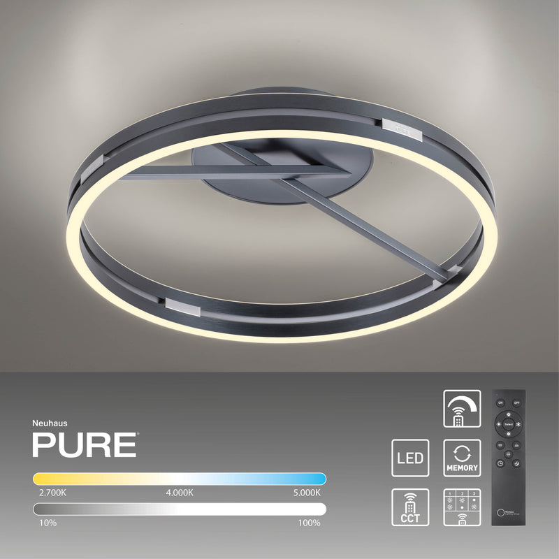 Plafoniera Paul Neuhaus PURE LOOP 2xLED Gri