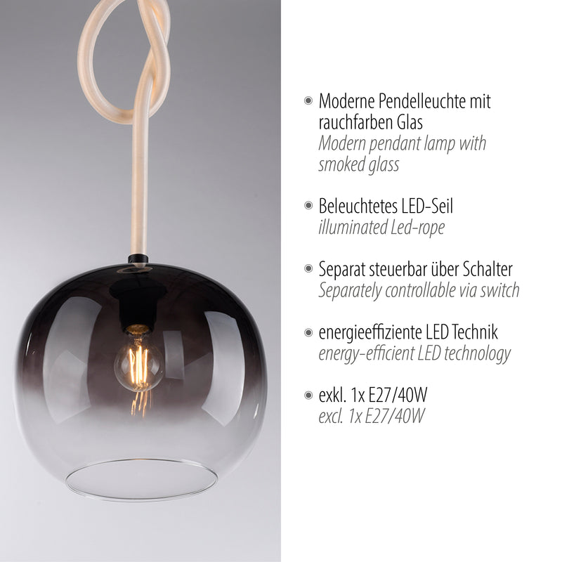 Lustra Paul Neuhaus LUMA 1xE27/LED Negru