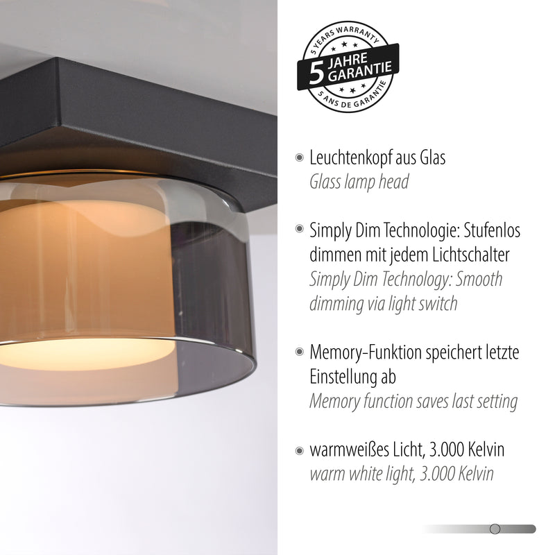 Plafoniera Paul Neuhaus RIKA LED Negru