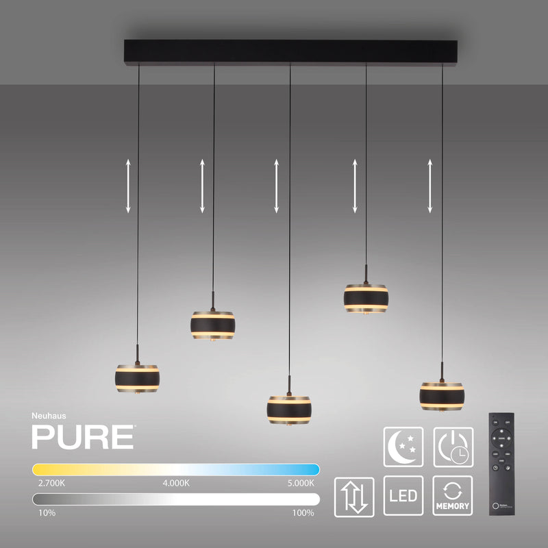 Lustra Paul Neuhaus PURE FALLING RINGS 5xLED Negru