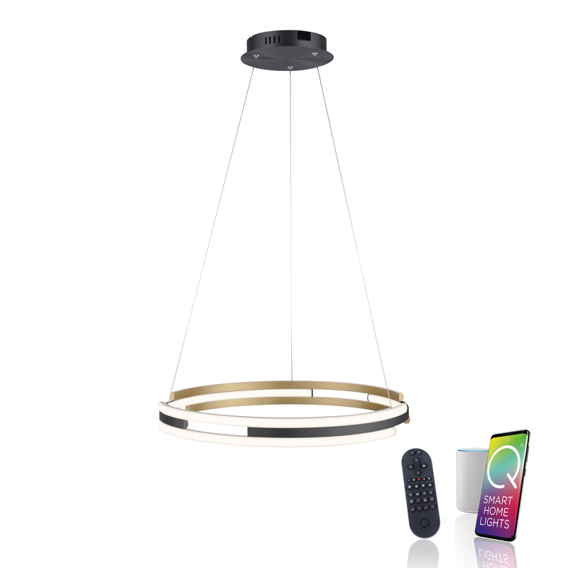 Lustra Paul Neuhaus Q-BELUGA LED Alama Mat