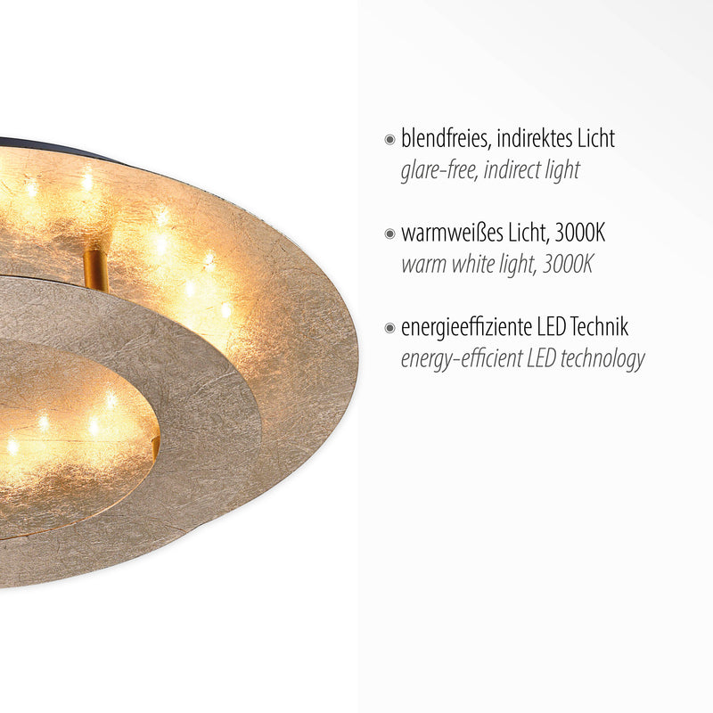 Plafoniera Paul Neuhaus NEVIS LED Auriu