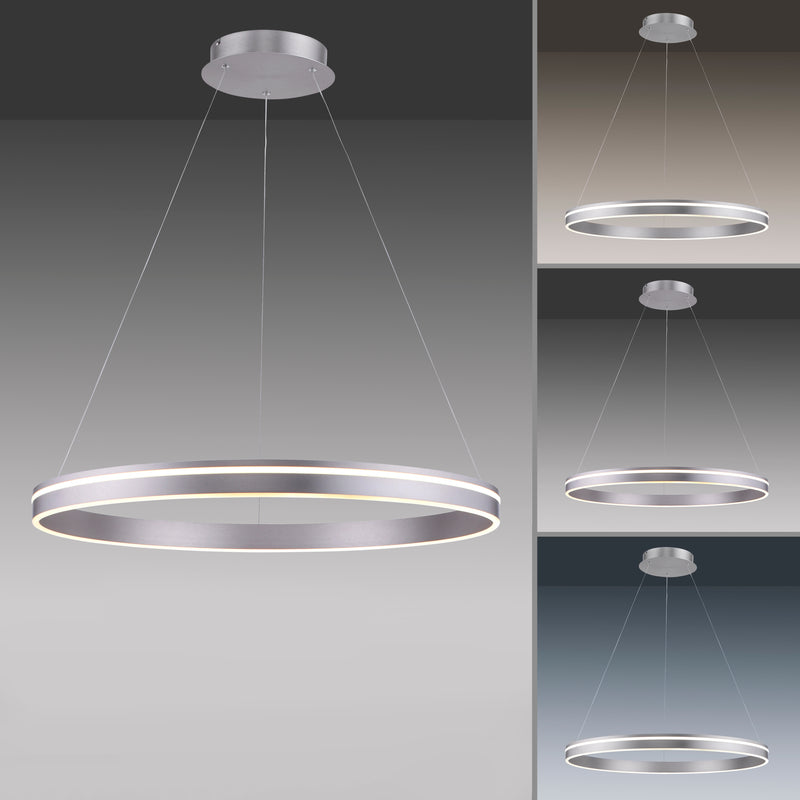 Lustra Paul Neuhaus Q-VITO LED Argintiu