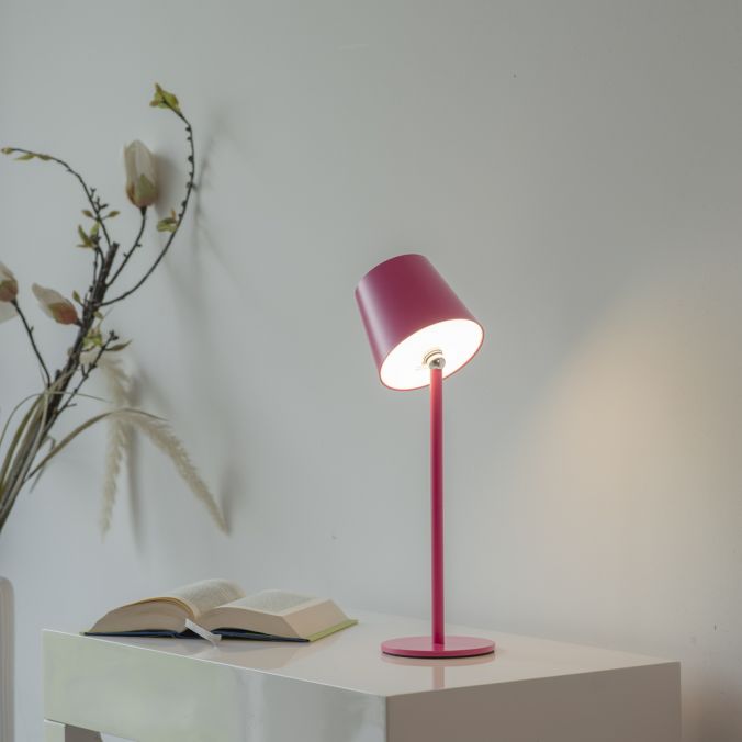 Veioza Paul Neuhaus BOTERIA LED Roz