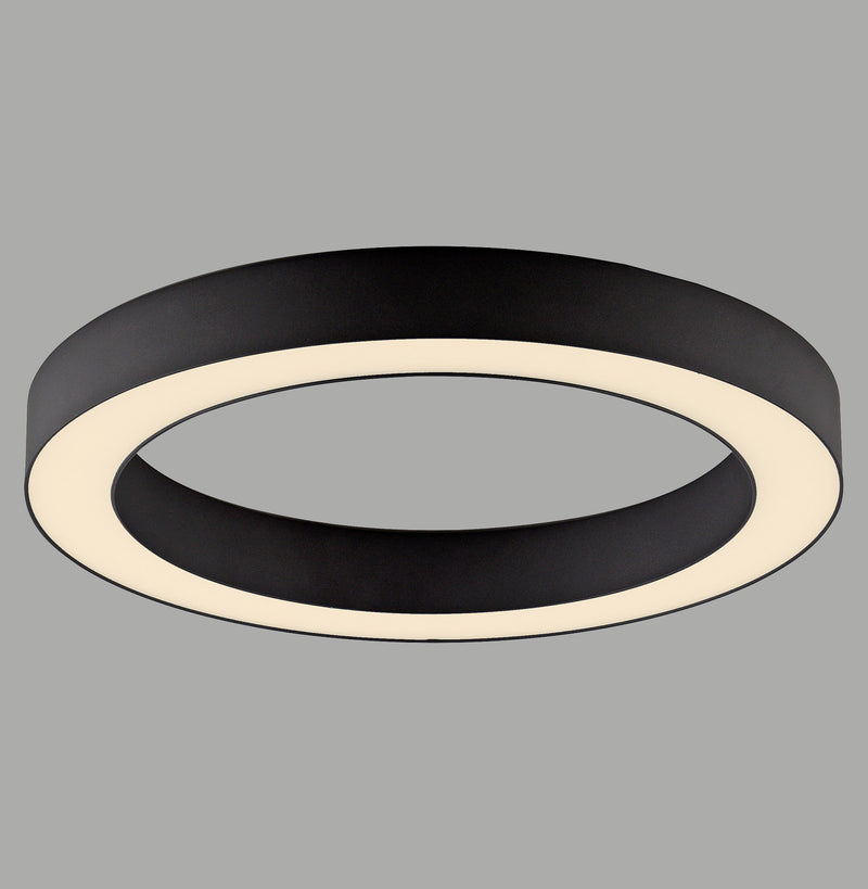 Plafoniera Paul Neuhaus PURE LINES ROUND LED Grafit