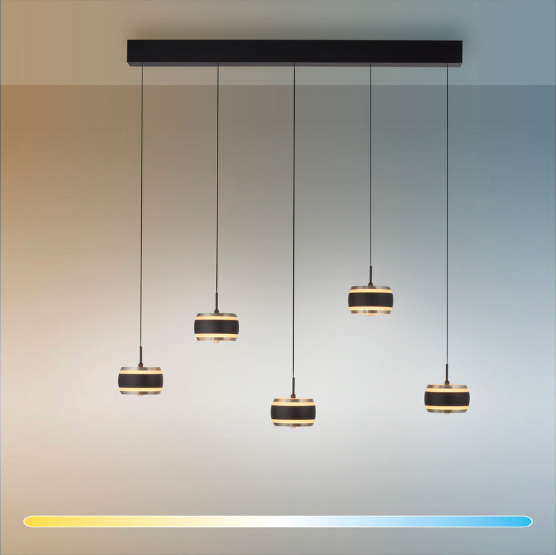 Lustra Paul Neuhaus PURE FALLING RINGS 5xLED Negru