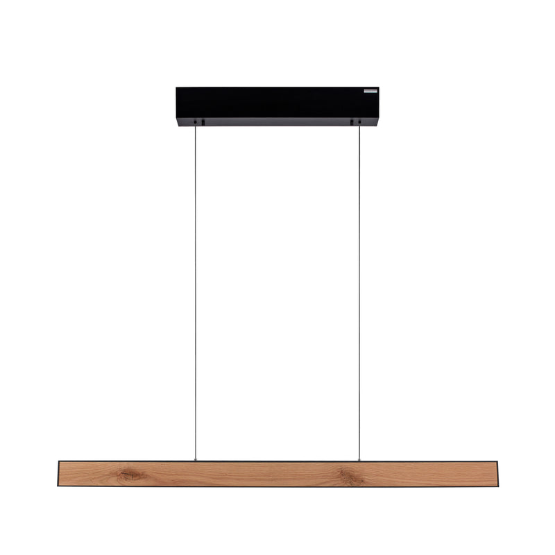 Lustra Paul Neuhaus PURE E-MOTION 2xLED Negru