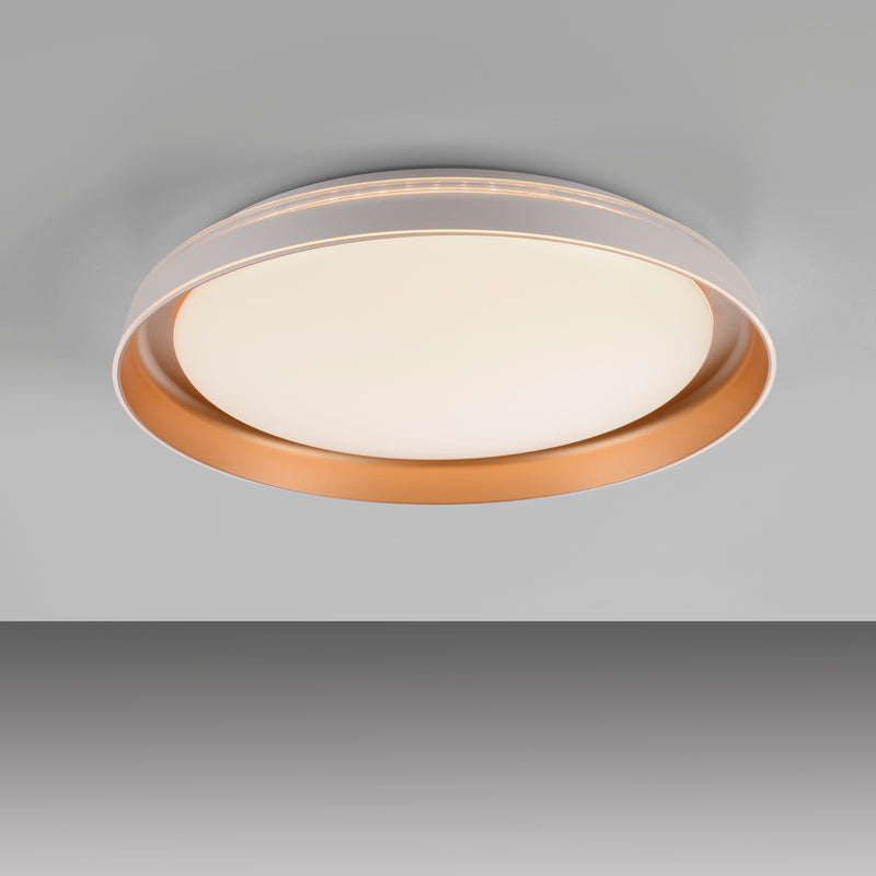 Plafoniera Paul Neuhaus SATI LED Alama Mat