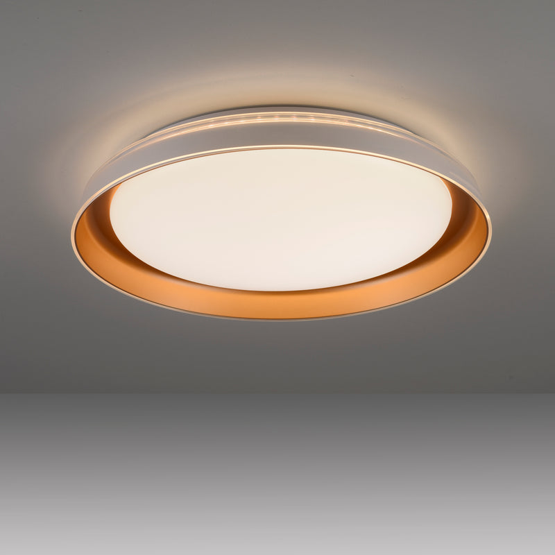 Plafoniera Paul Neuhaus SATI LED Alama Mat