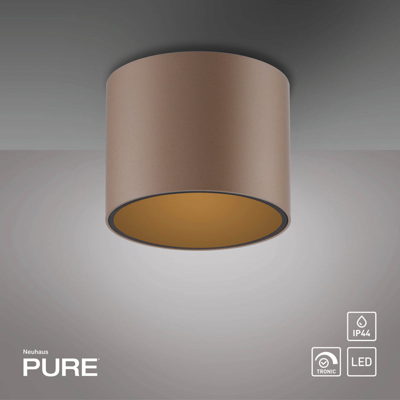 Plafoniera Paul Neuhaus PURE POINT LED Maro