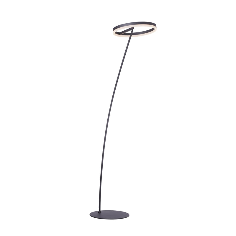 Lampadar Paul Neuhaus TITUS LED Antracit