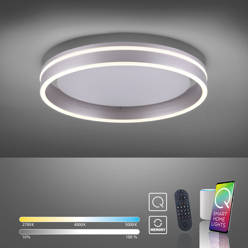 Plafoniera Paul Neuhaus Q-VITO LED Otel