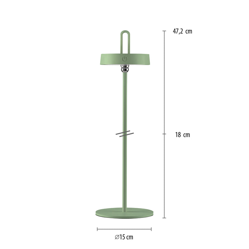 Lampa Exterior Paul Neuhaus AMAG LED Verde