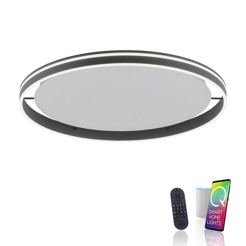 Plafoniera Paul Neuhaus Q-VITO LED Antracit