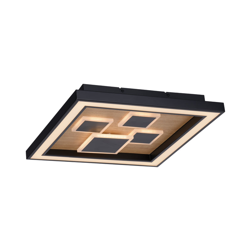 Plafoniera Paul Neuhaus ELIZA LED Negru