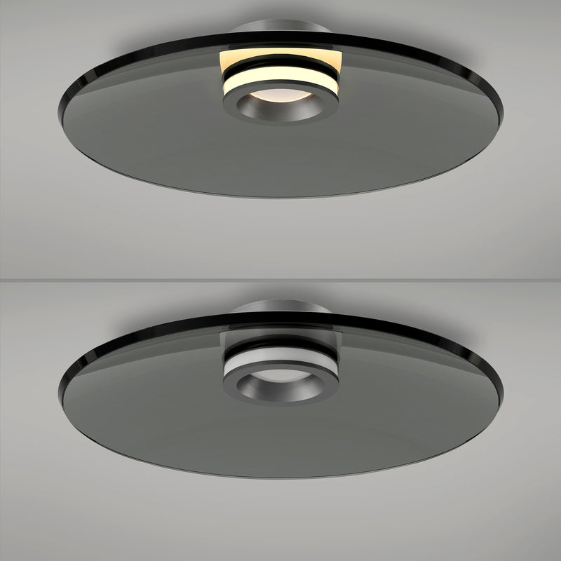 Plafoniera Paul Neuhaus PURE MOON 2xLED Gri
