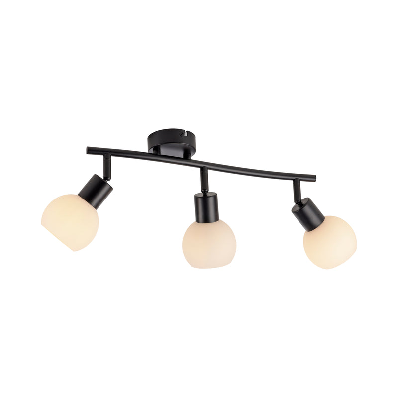 Plafoniera Paul Neuhaus LOKI 3xE14 Negru
