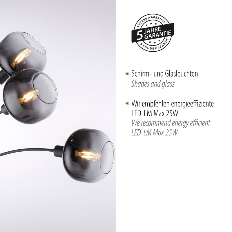 Lampadar Paul Neuhaus ZEA 3xE14 Negru