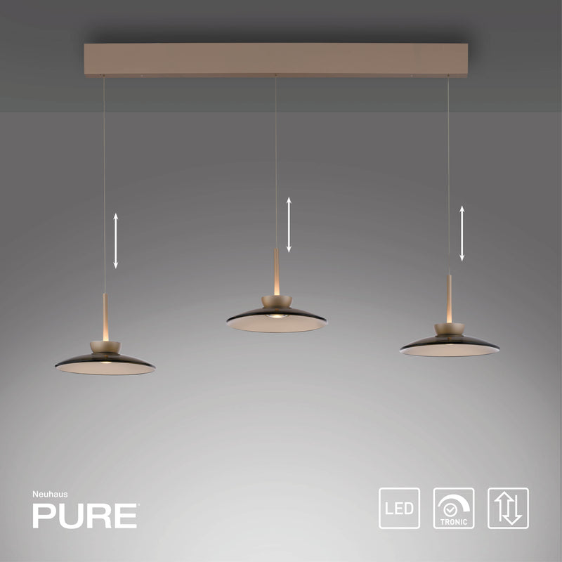 Lustra Paul Neuhaus PURE MOON 6xLED Maro