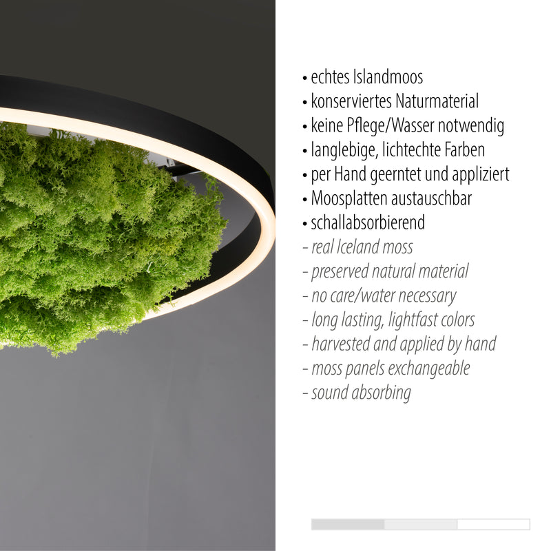 Plafoniera Zuma Line GREEN RITUS LED Muschi Natural