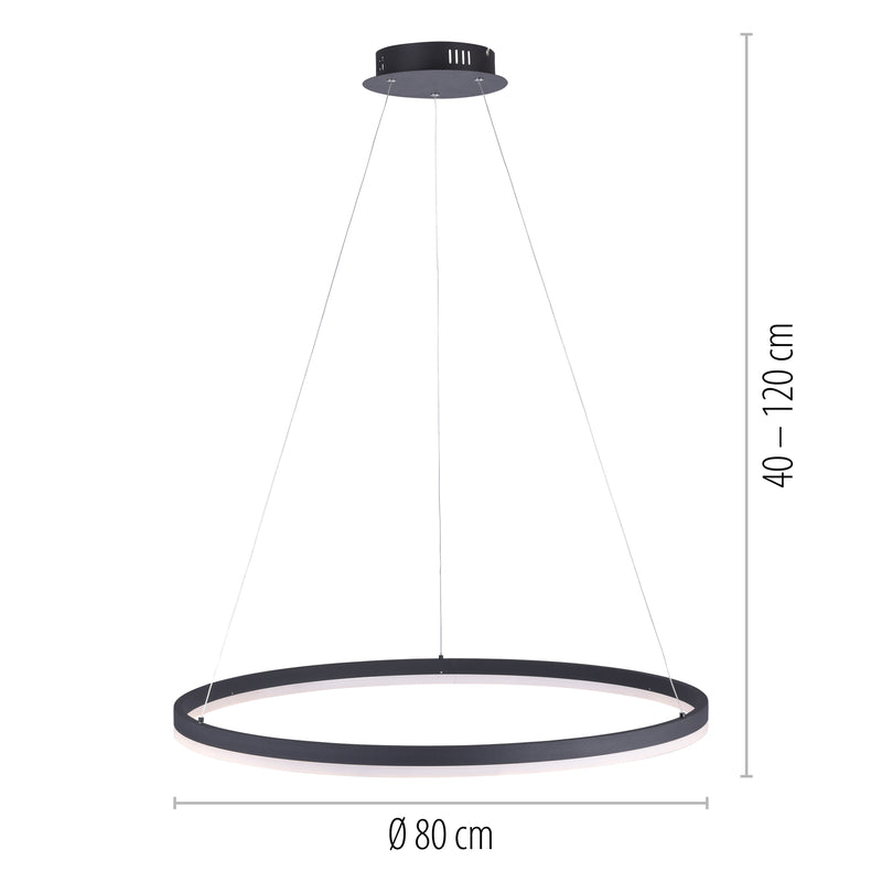 Lustra Paul Neuhaus 1xLED-BOARD