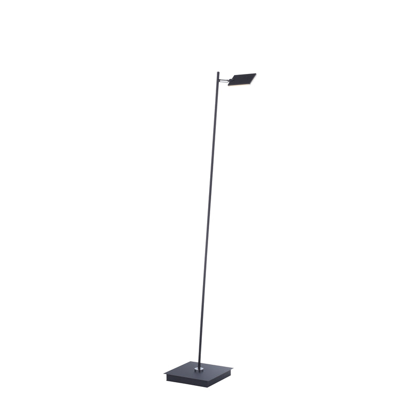 Lampadar Paul Neuhaus PURE-MIRA LED Antracit