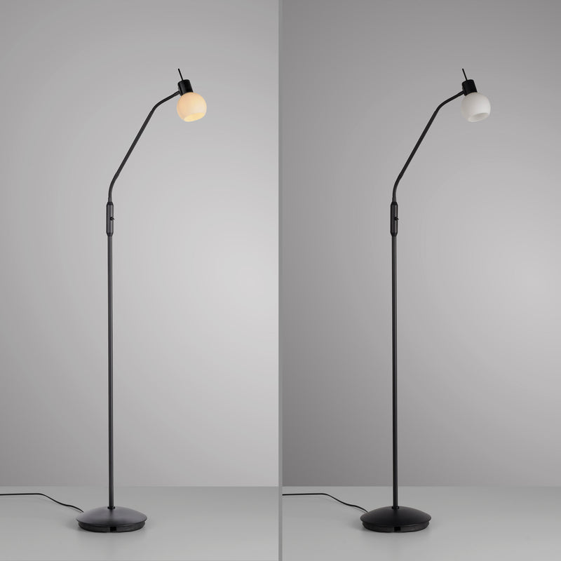 Lampadar Paul Neuhaus LOKI 1xE14 Negru
