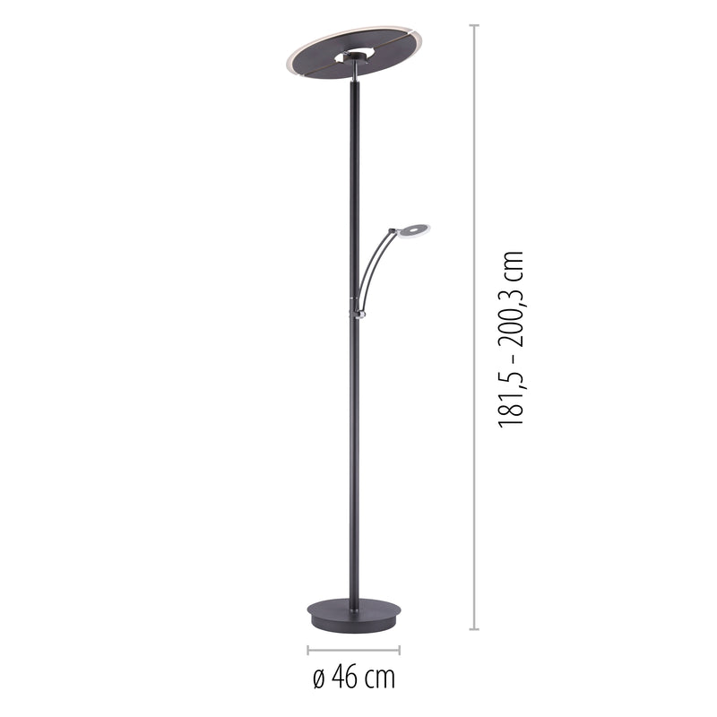 Lampadar Paul Neuhaus ARTUR LED Antracit