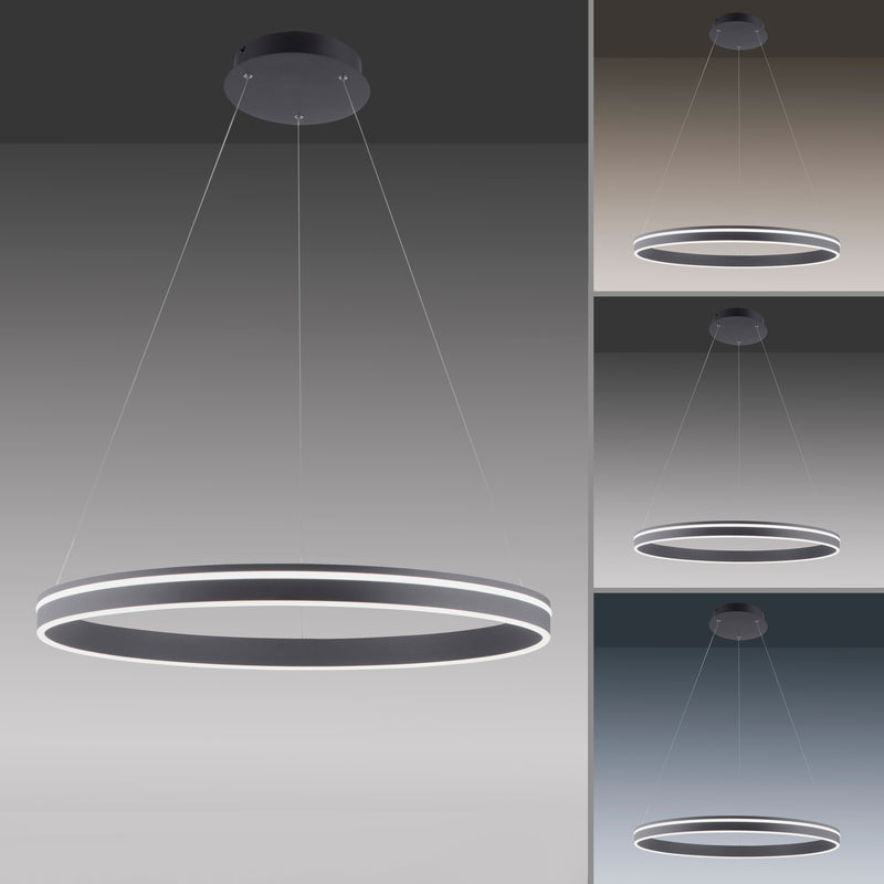 Lustra Paul Neuhaus Q-VITO LED Antracit