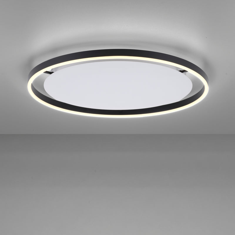 Plafoniera Paul Neuhaus RITUS LED Antracit