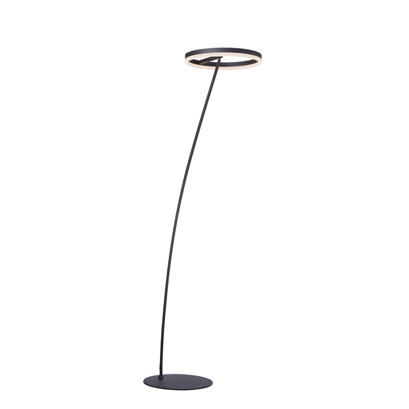 Lampadar Paul Neuhaus TITUS LED Antracit