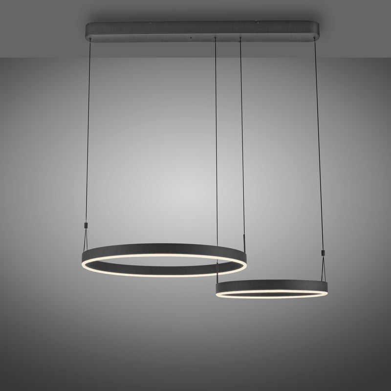 Lustra Paul Neuhaus ESKO 2xLED Negru