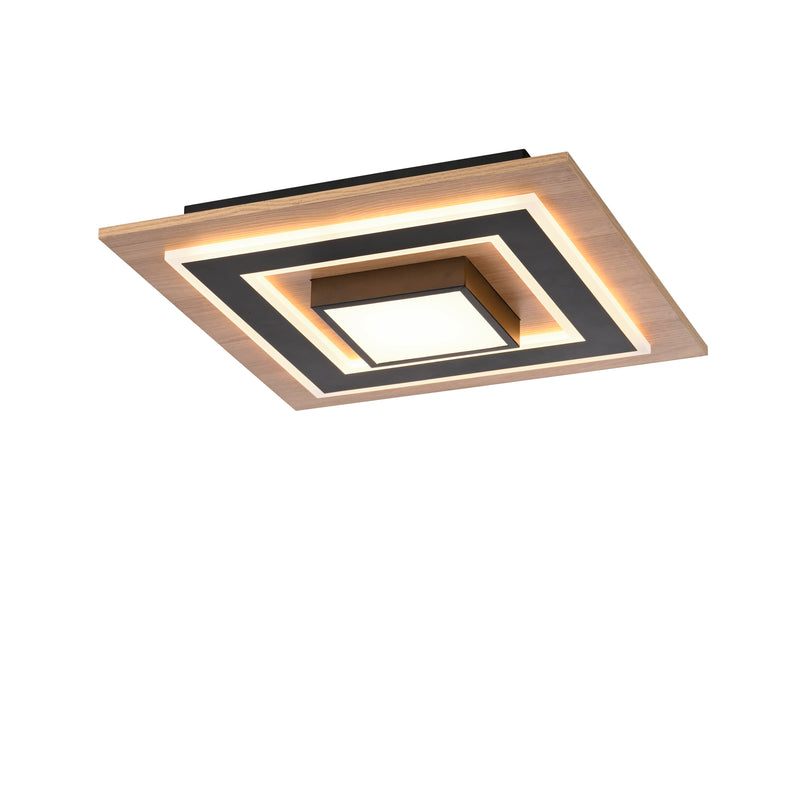 Plafoniera Paul Neuhaus TOLA LED Negru