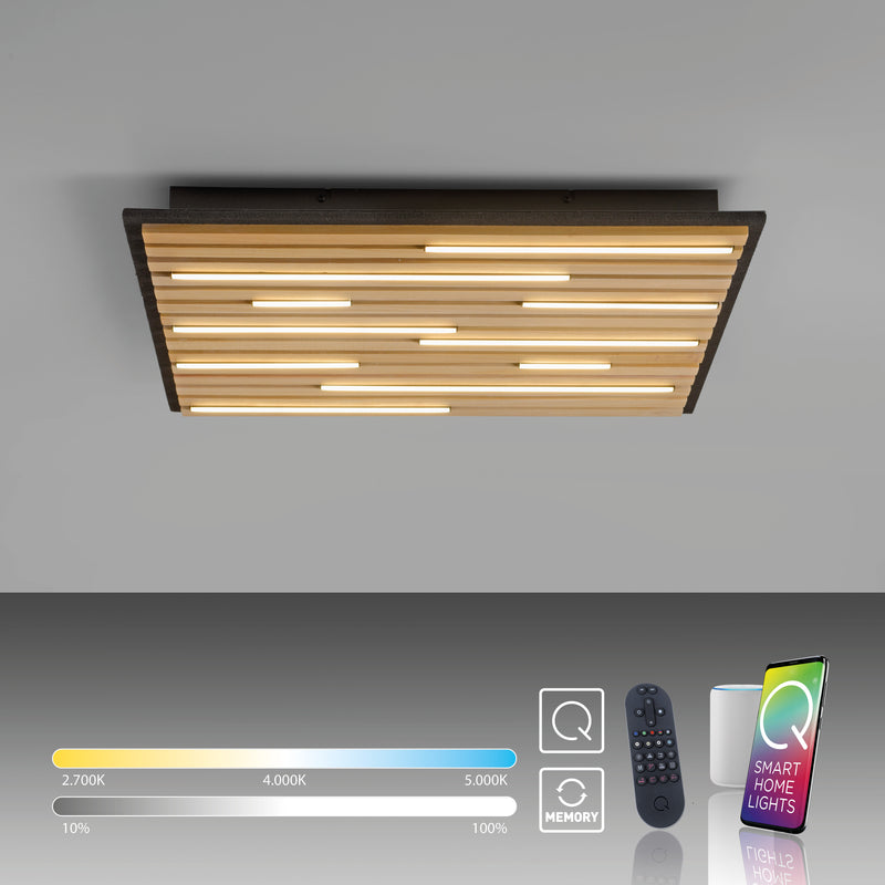 Plafoniera Paul Neuhaus Q-AKUSTIK LED Lemn