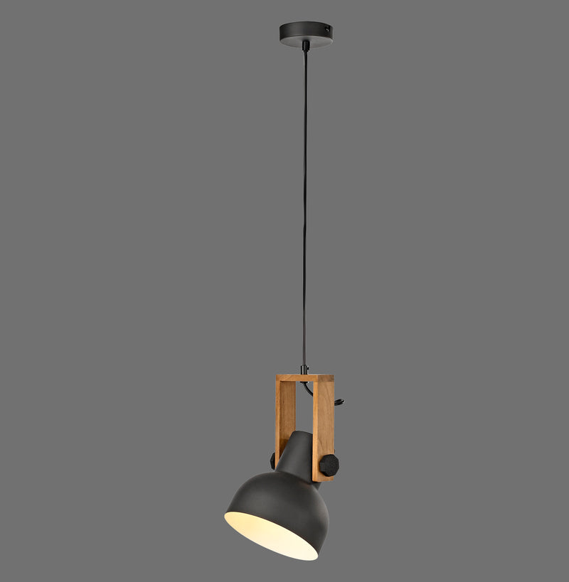 Lustra Paul Neuhaus CUP 2.0 1xE27 Negru