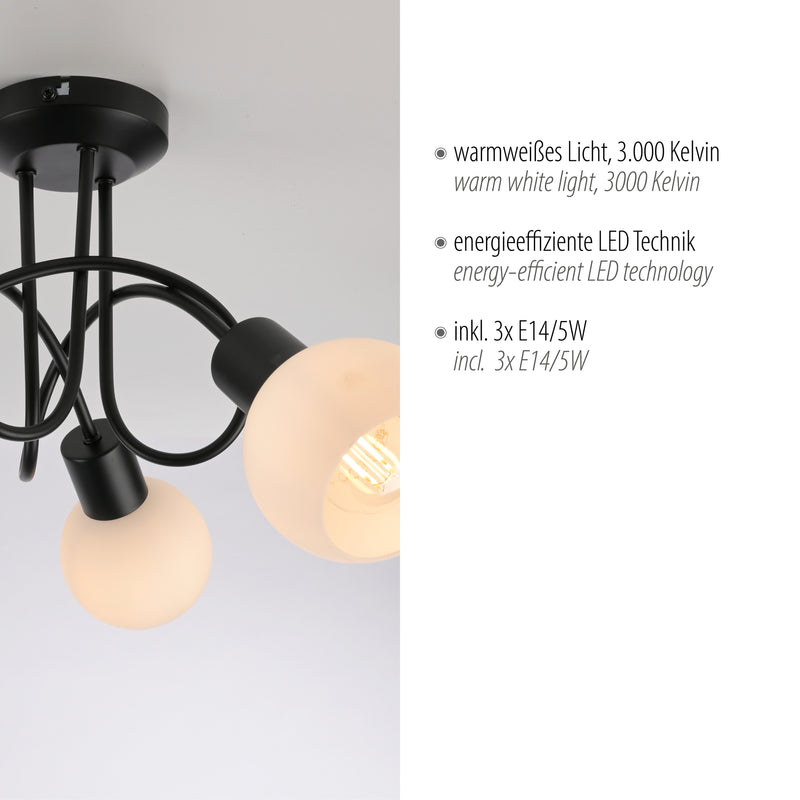 Plafoniera Paul Neuhaus LOKI 3xE14 Negru